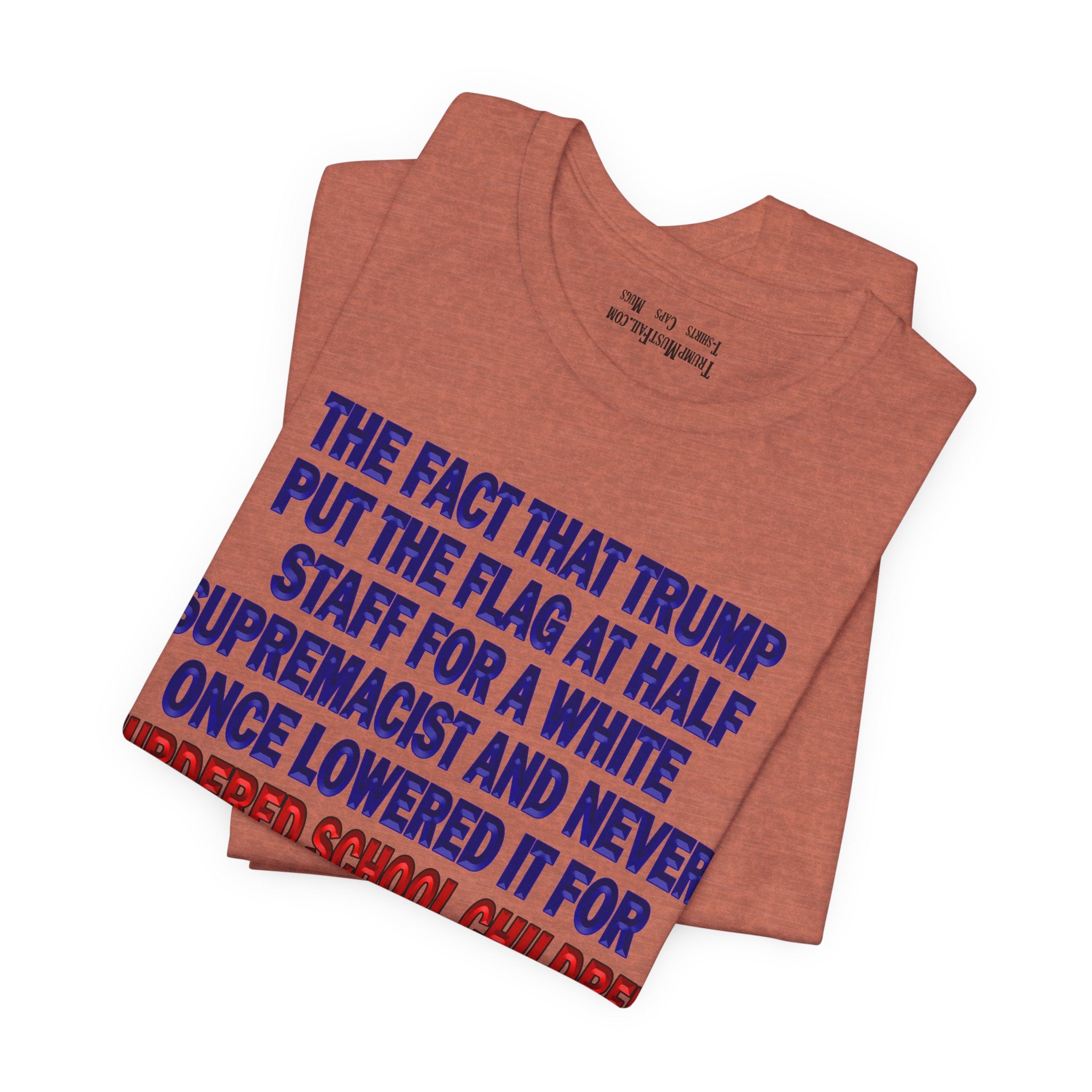THE FACT T-SHIRT/HEATHER CLAY