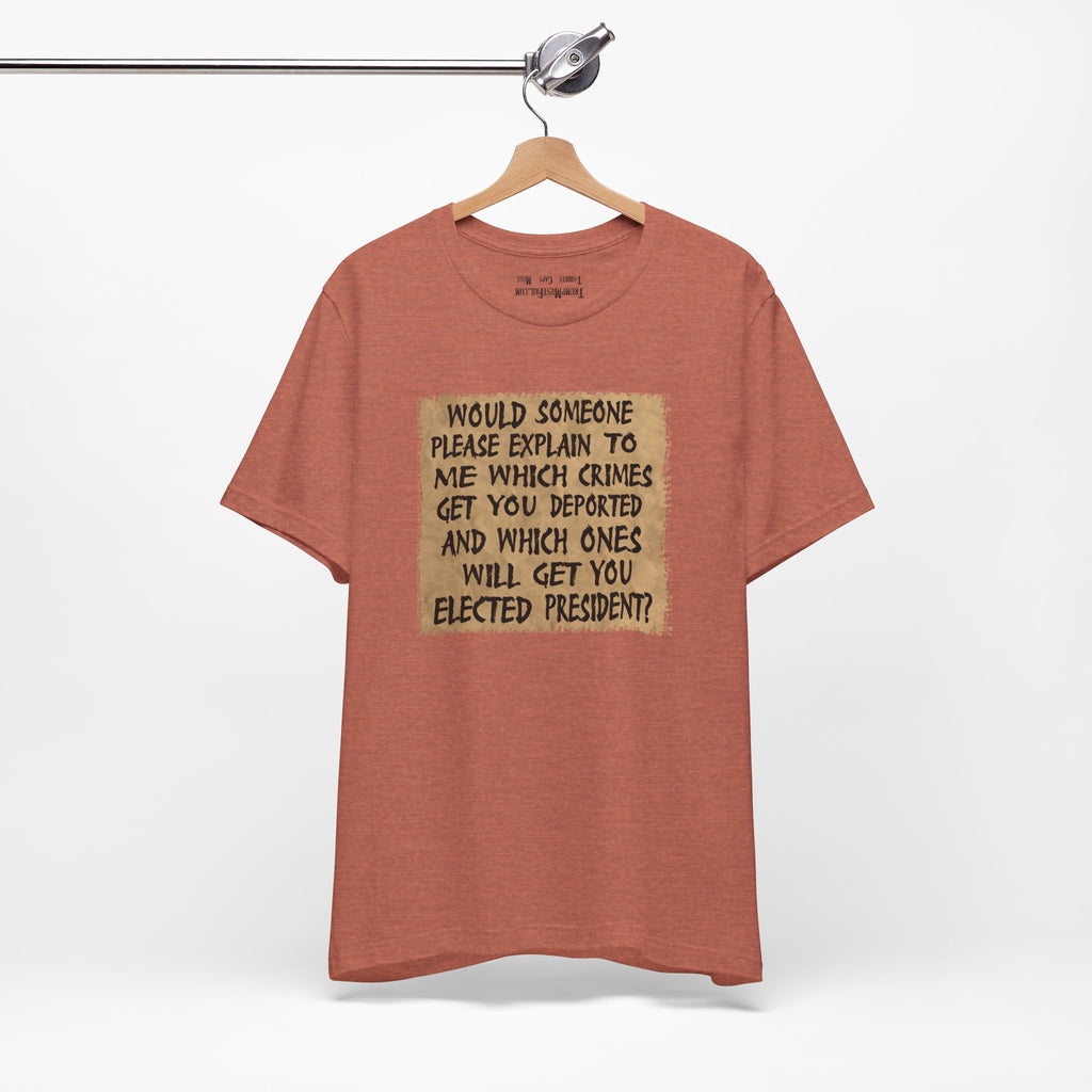 WHICH CRIMES T-SHIRT/HEATHER CLAY