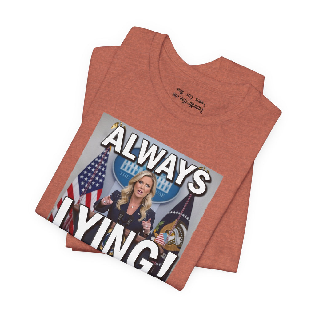 Always Lying T-shirt/heather clay