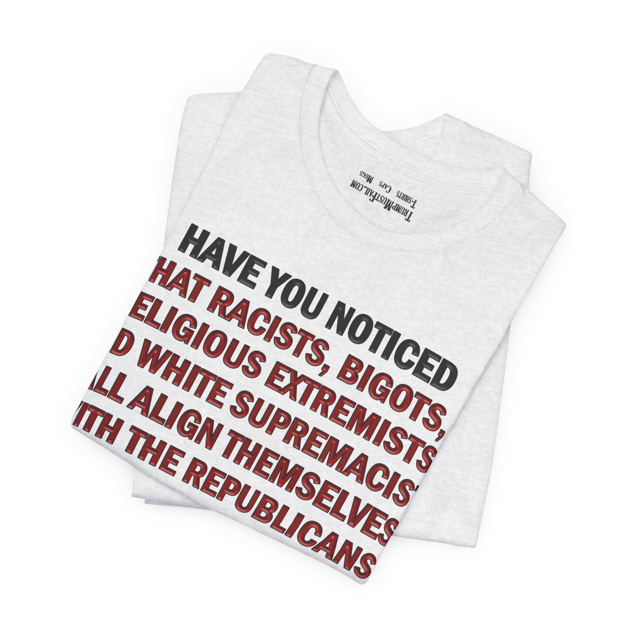 HAVE YOU NOTICED T-SHIRT/ASH