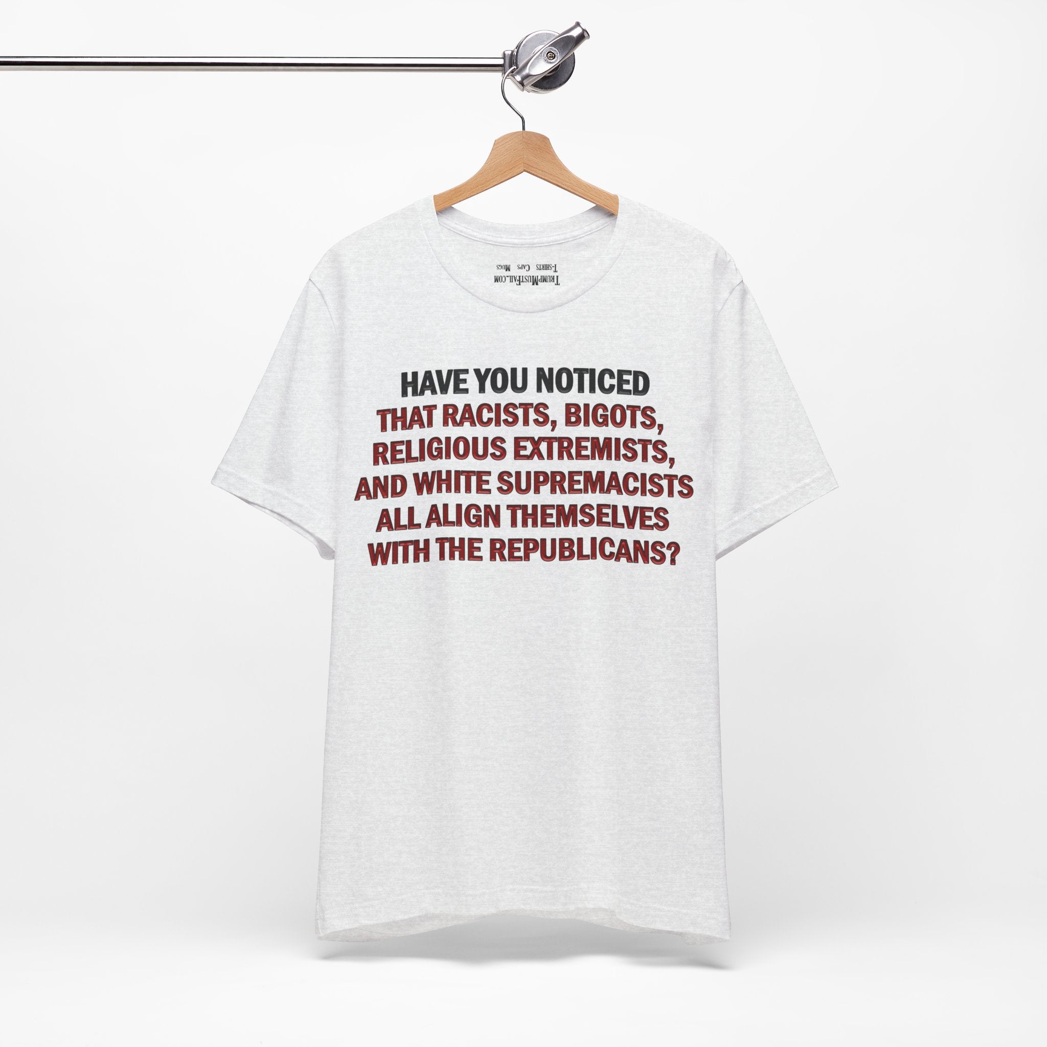 HAVE YOU NOTICED T-SHIRT/ASH